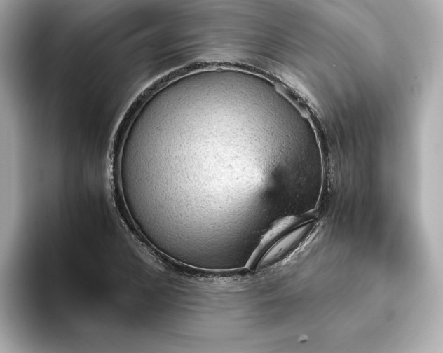 X0000093430976200710261016