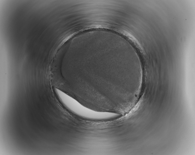 X0000093430977200710261016