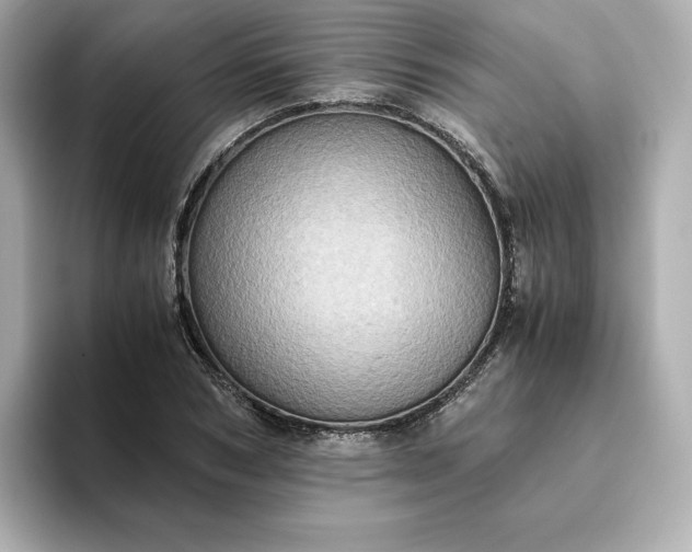 X0000093430978200710261016