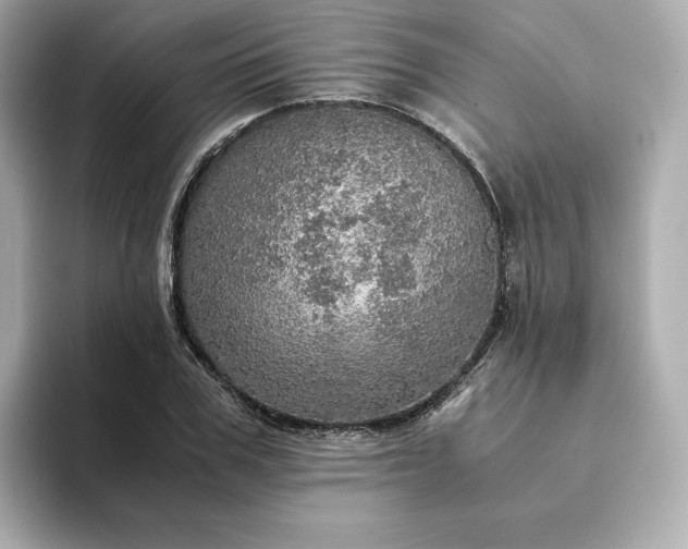 X0000093430979200710261016