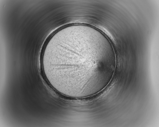 X0000093430980200710261016