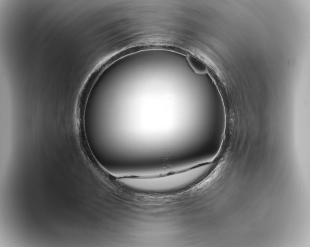 X0000093430981200710261016