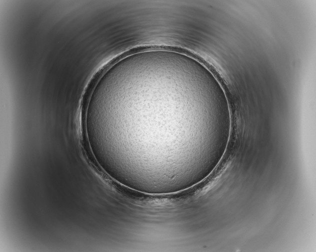 X0000093430982200710261016