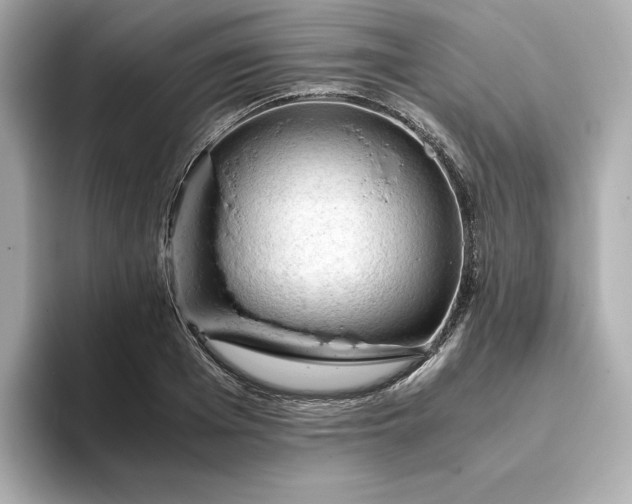 X0000093430985200710261016