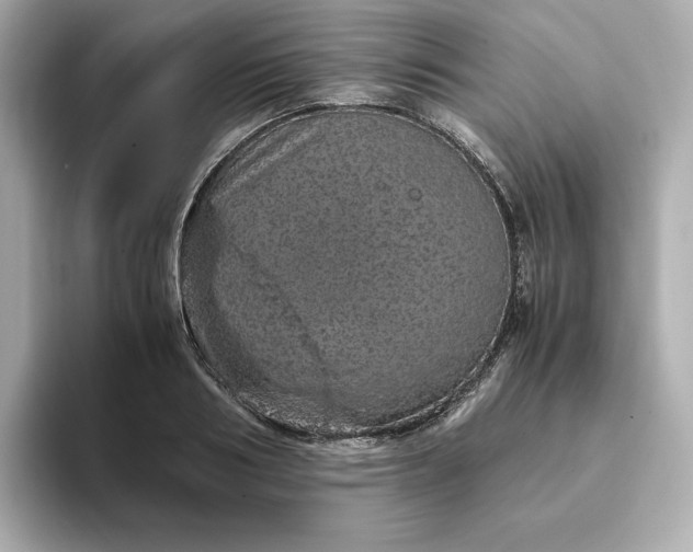 X0000093430986200710261016