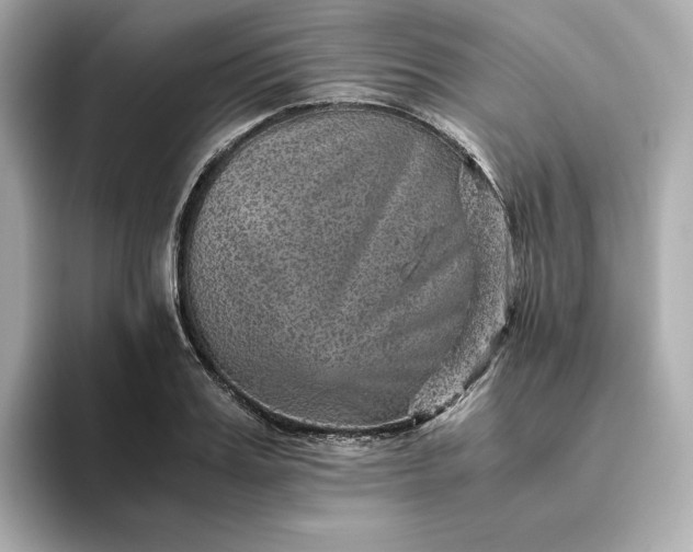 X0000093430987200710261016