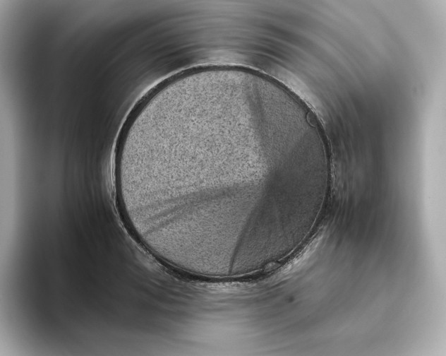 X0000093430988200710261016