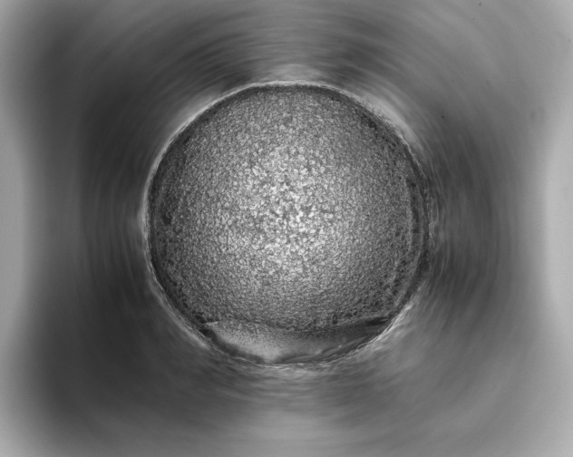 X0000093430990200710261016