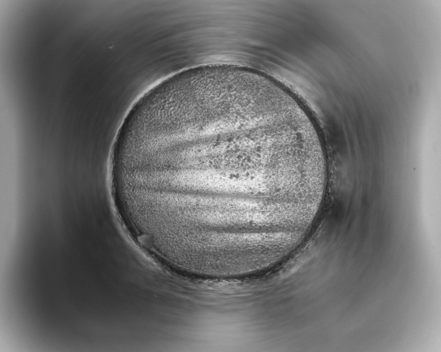 X0000093430991200710261016