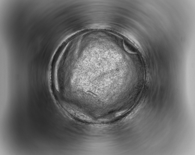 X0000093430992200710261016