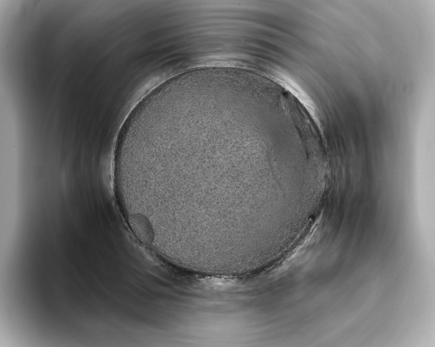 X0000093430994200710261016