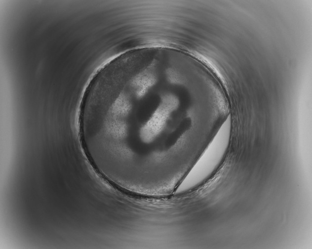 X0000093430995200710261016