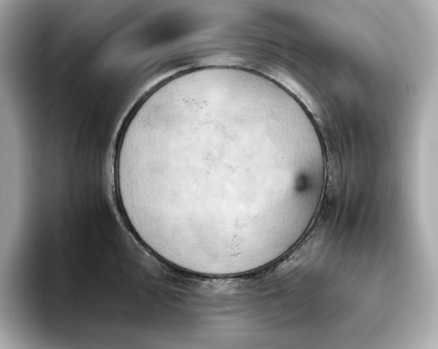 X0000093431000200710261016