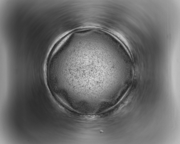 X0000093431003200710261016