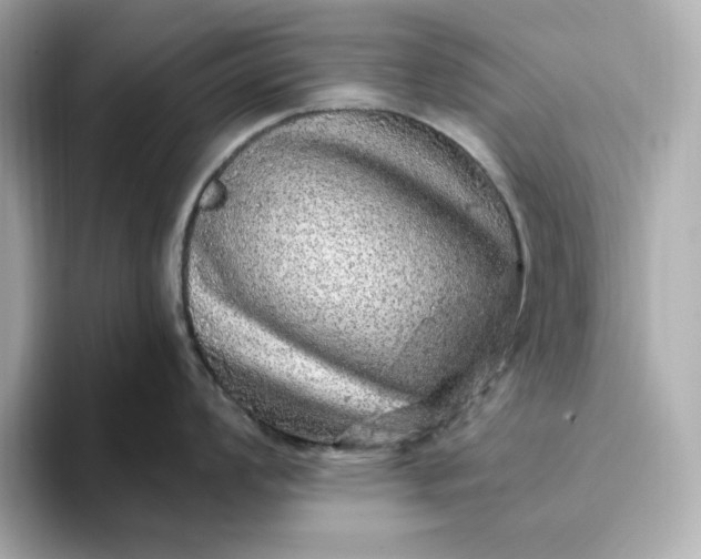 X0000093431008200710261015