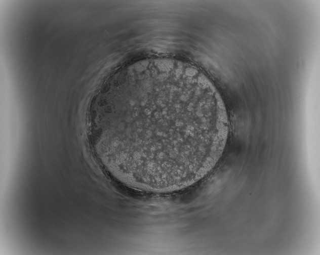 X0000093431009200710261015