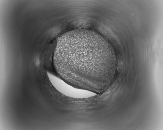 X0000093431010200710261015