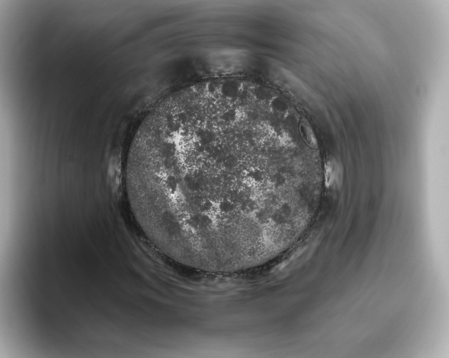 X0000093431011200710261015