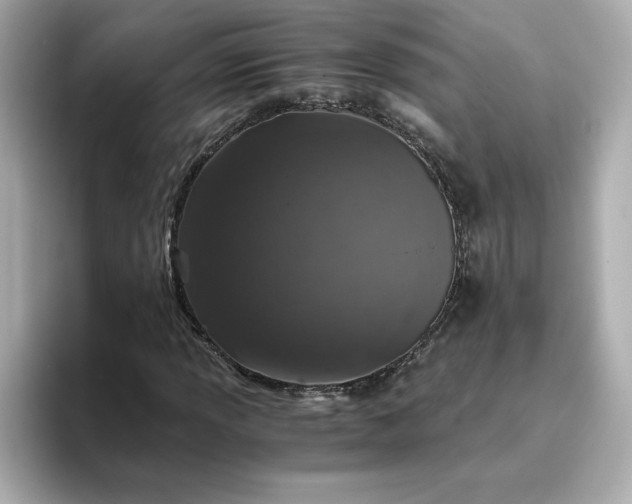 X0000093431013200710261015