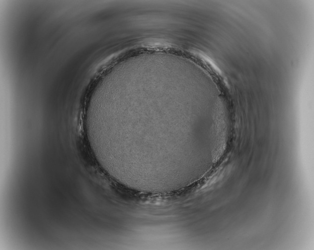 X0000093431016200710261015