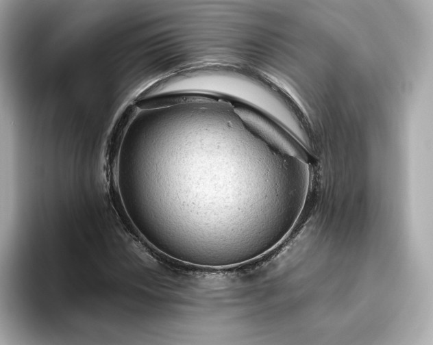 X0000093431018200710261015