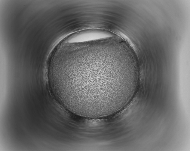 X0000093431019200710261015