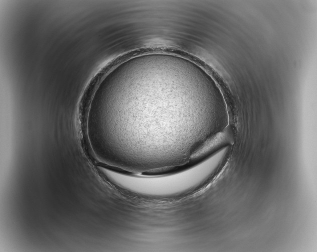 X0000093431022200710261015