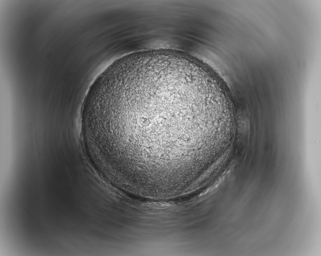 X0000093431023200710261015