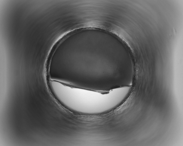 X0000093431024200710261015