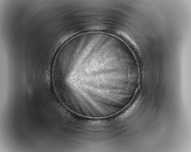 X0000093431025200710261015