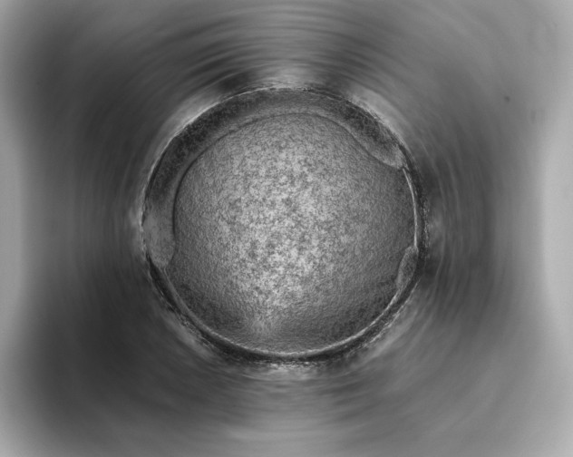 X0000093431026200710261015