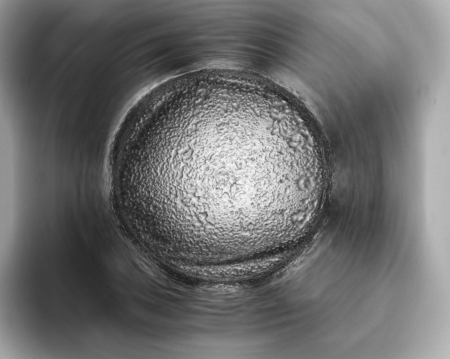 X0000093431027200710261015