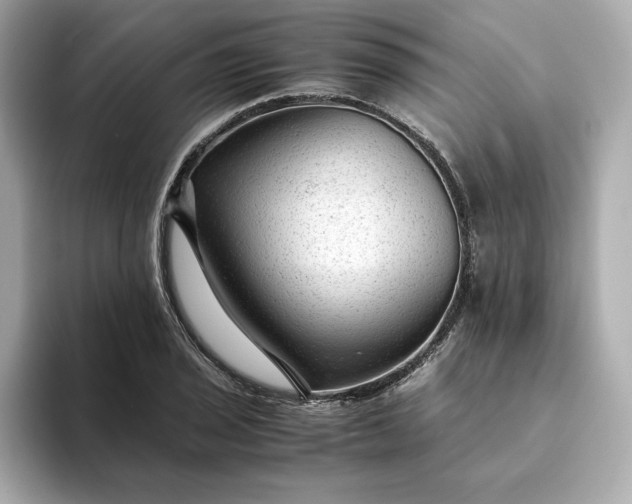 X0000093431029200710261015