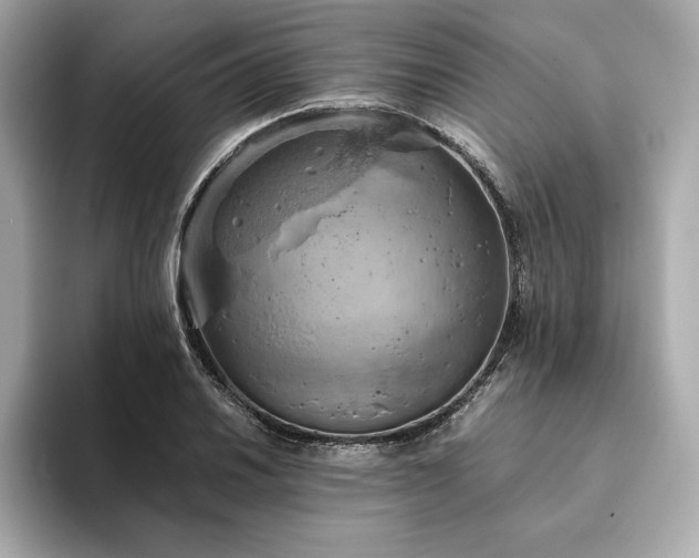 X0000093431030200710261015