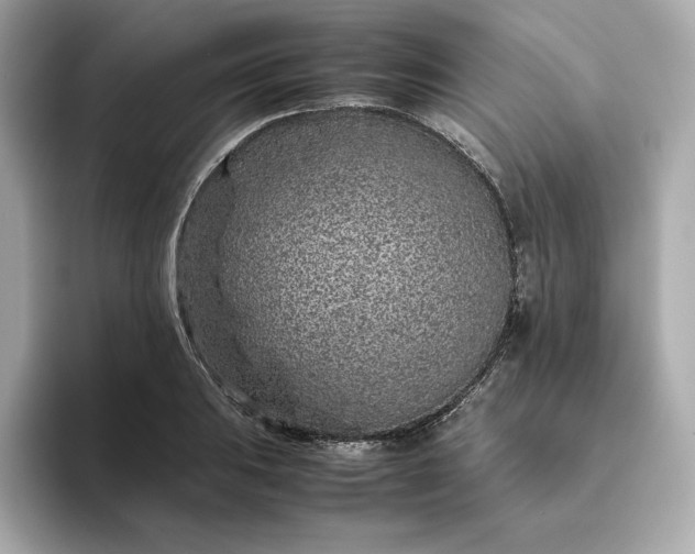 X0000093431031200710261015