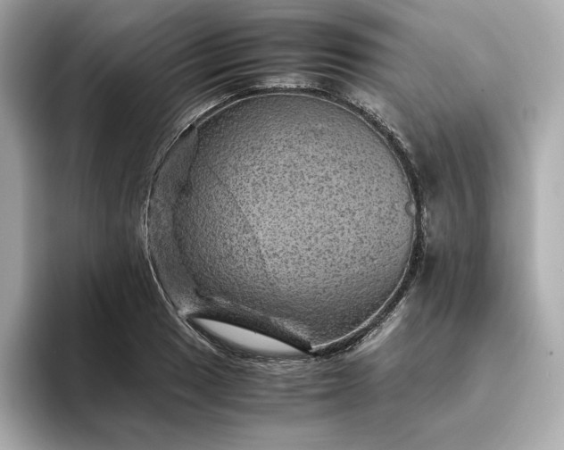 X0000093431033200710261015