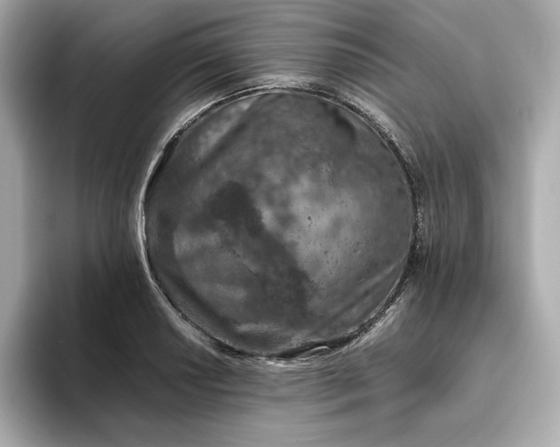 X0000093431034200710261015