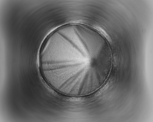 X0000093431036200710261015