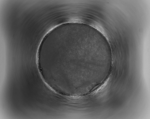 X0000093431037200710261015