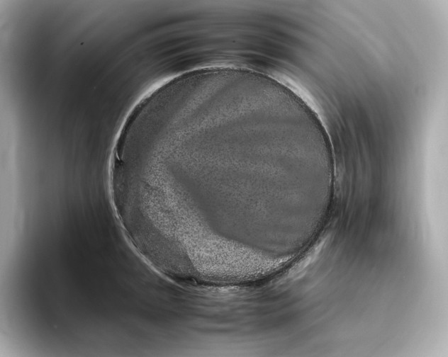 X0000093431045200710261015