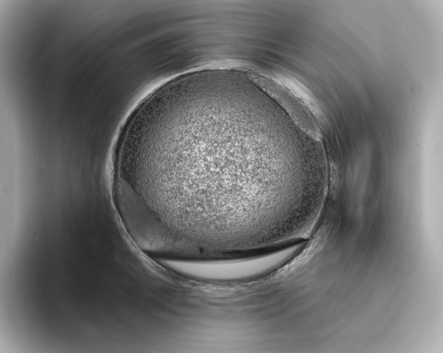 X0000093431046200710261015