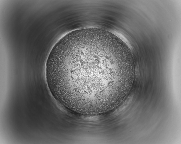 X0000093431047200710261015