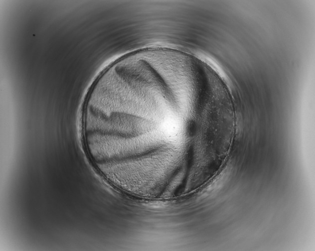 X0000093431048200710261015