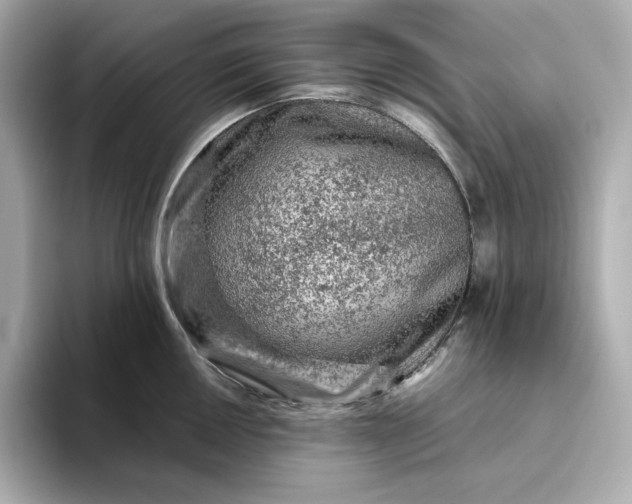 X0000093431050200710261015