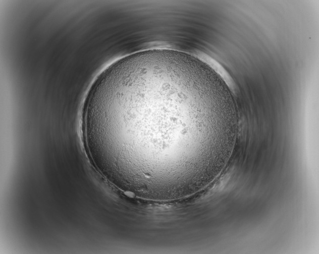 X0000093431051200710261015