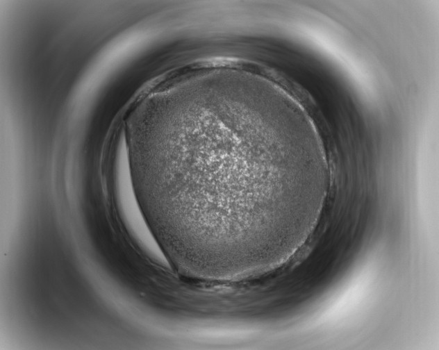 X0000093431054200710261015