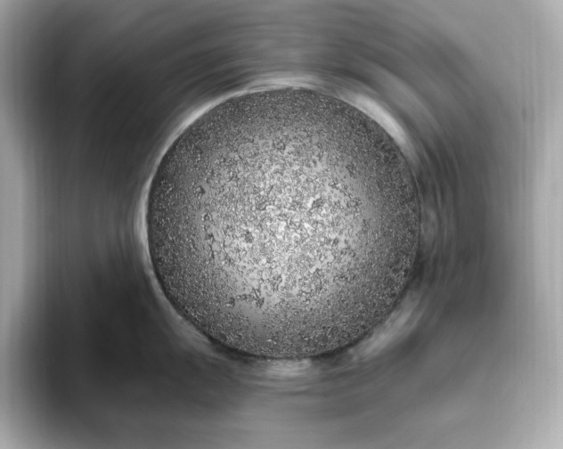 X0000093431055200710261015