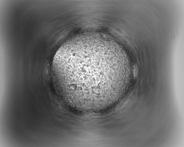 X0000093431059200710261015