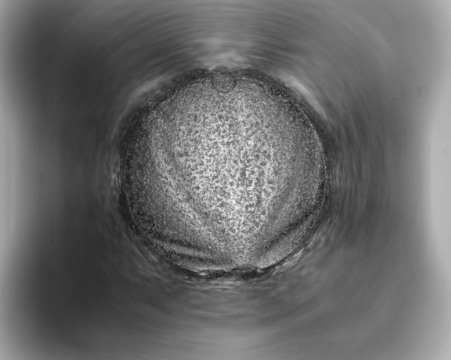 X0000093431063200710261015