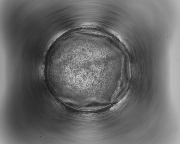 X0000093431066200710261015